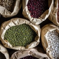 innovative plant-based ingredients